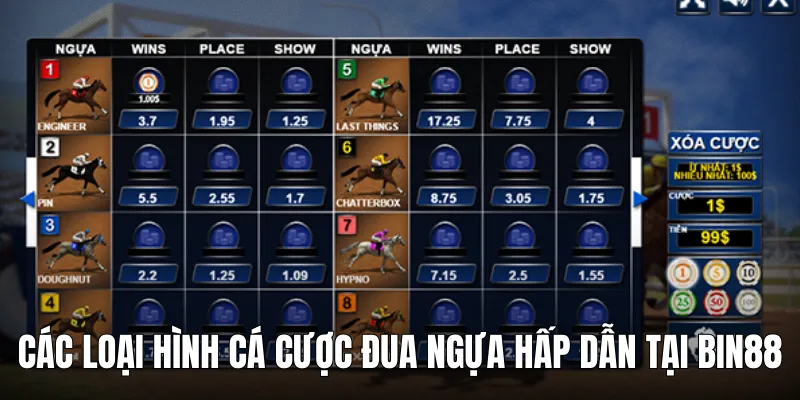 dua ngua bin88 cac loai cuoc