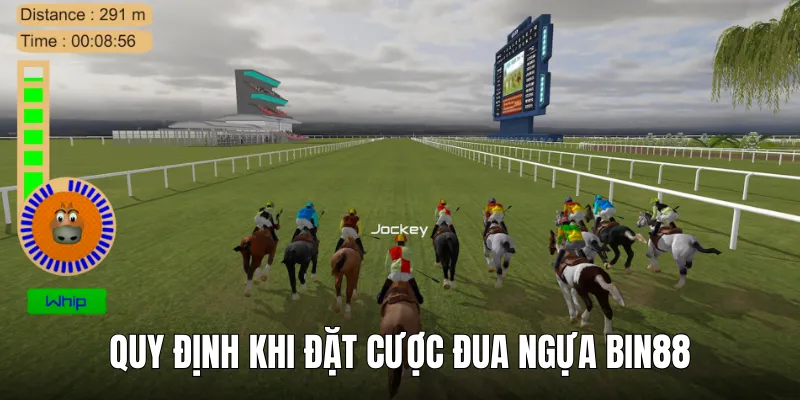 dua ngua bin88 quy dinh khi choi