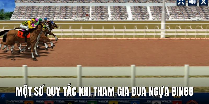dua ngua bin88 quy tac