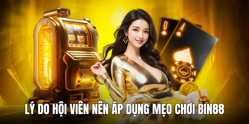 meo choi bin88 ly do
