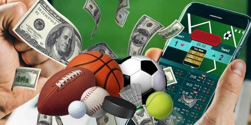 tro choi hap dan nhat