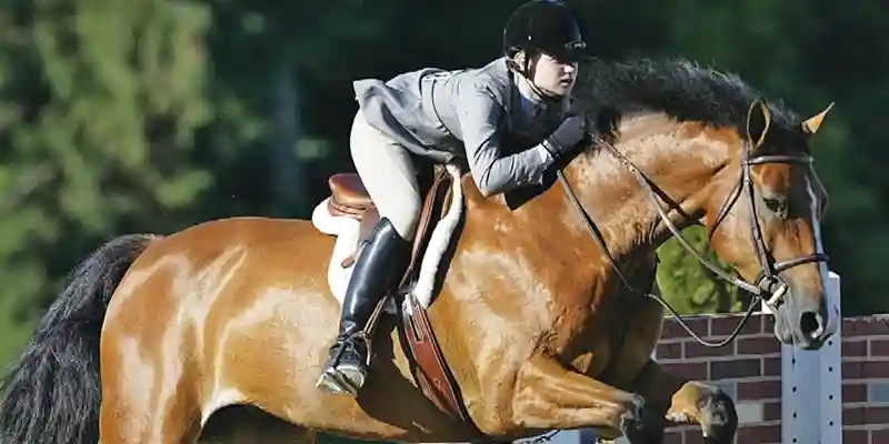 cach doc thong so va phan tich du lieu