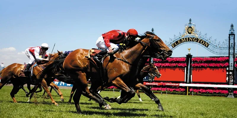 luu y khi choi ngua ao tai bin 88